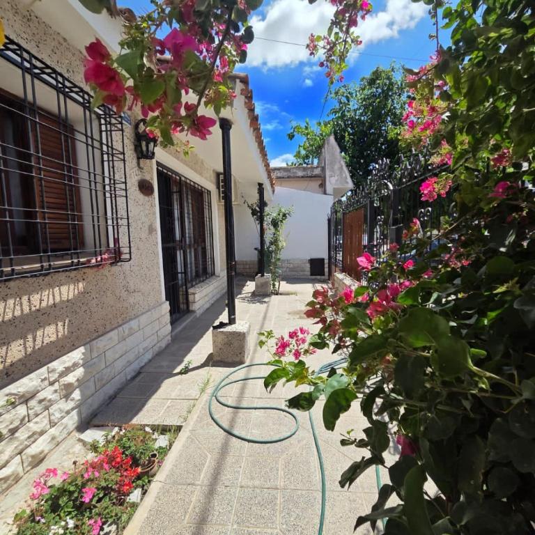 Rooming house - Apartamento de 1 dormitorio - 5