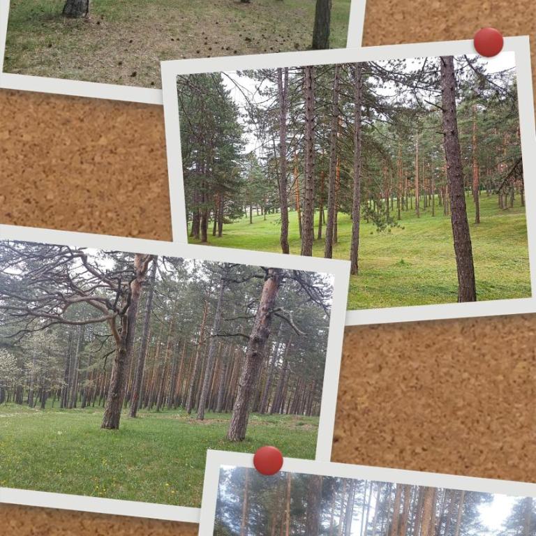 Pahulja2 - Apartman sa 1 Spavaćom Sobom - 3