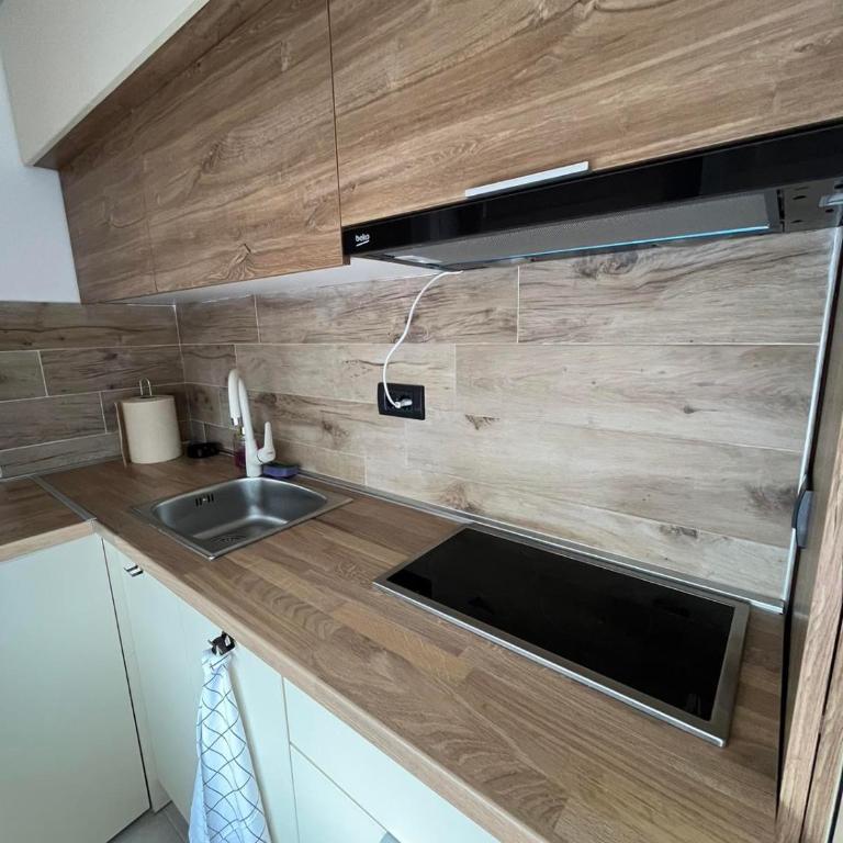 Apartman PETKOVIĆ NLux 110 Milmari resort - One-Bedroom Apartment - 17