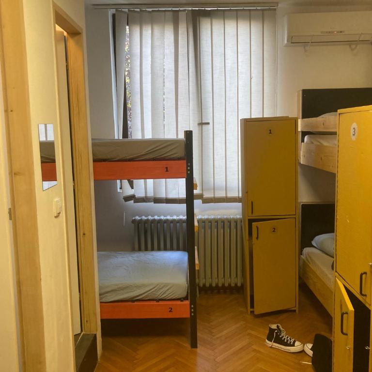 Chillton hostel - Bunk Bed in Female Dormitory Room - 14