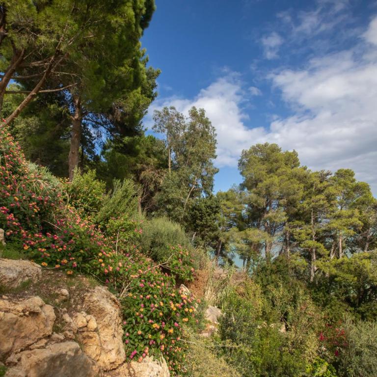 La casa del Rinoceronte - Scopello, con accesso diretto al mare - Villa with Sea View - 64