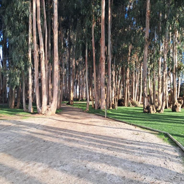 Condominio Costa Algarrobo Norte - Apartamento de 3 dormitorios - 9