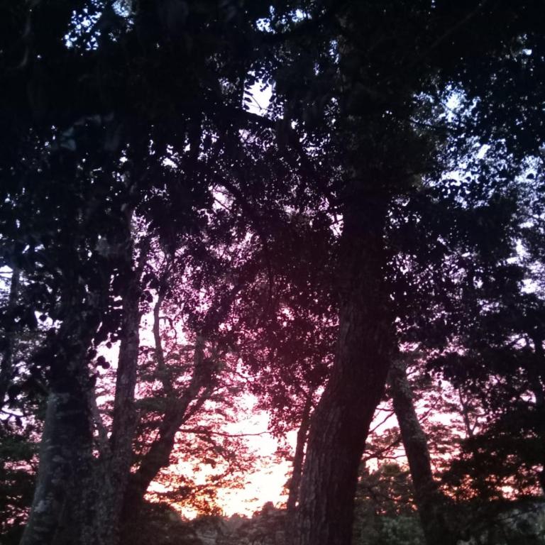 cabañita Campestre, independiente - Casa - 51