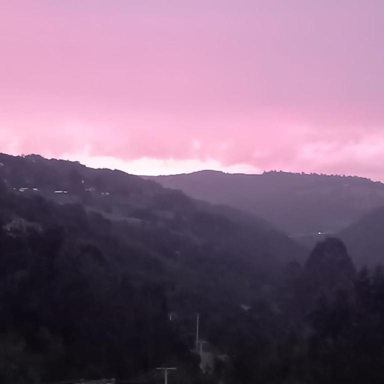 cabañita Campestre, independiente - Casa - 52