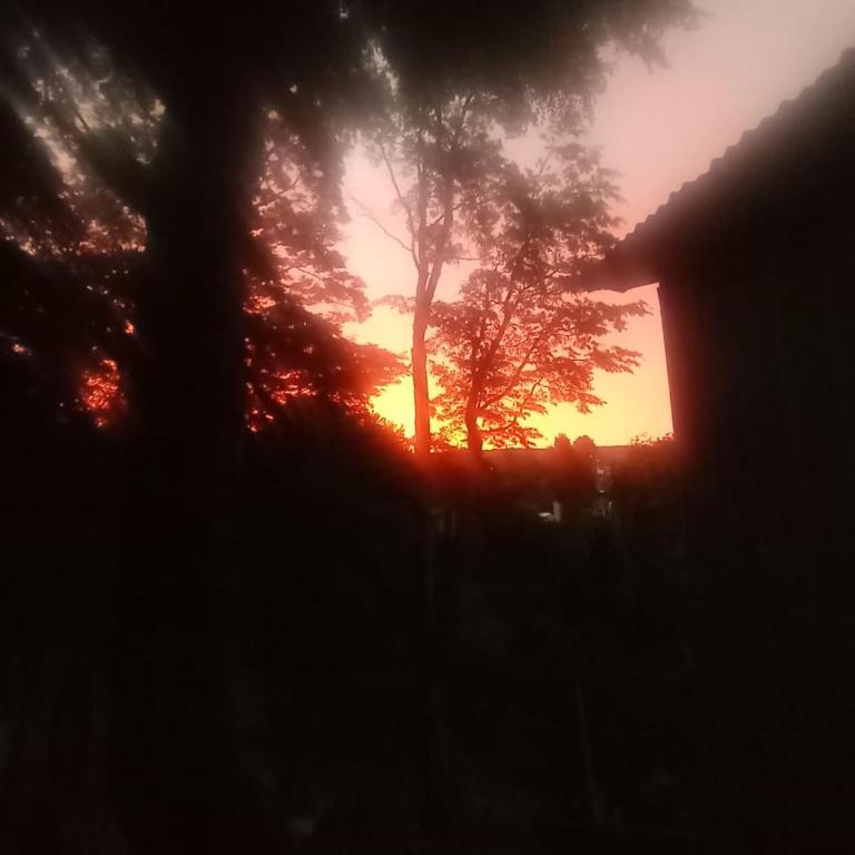 cabañita Campestre, independiente - Vacation Home - 54