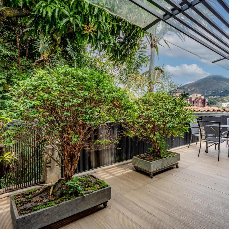 Alko Hotel Casa Nispero - Suite con terraza - 10