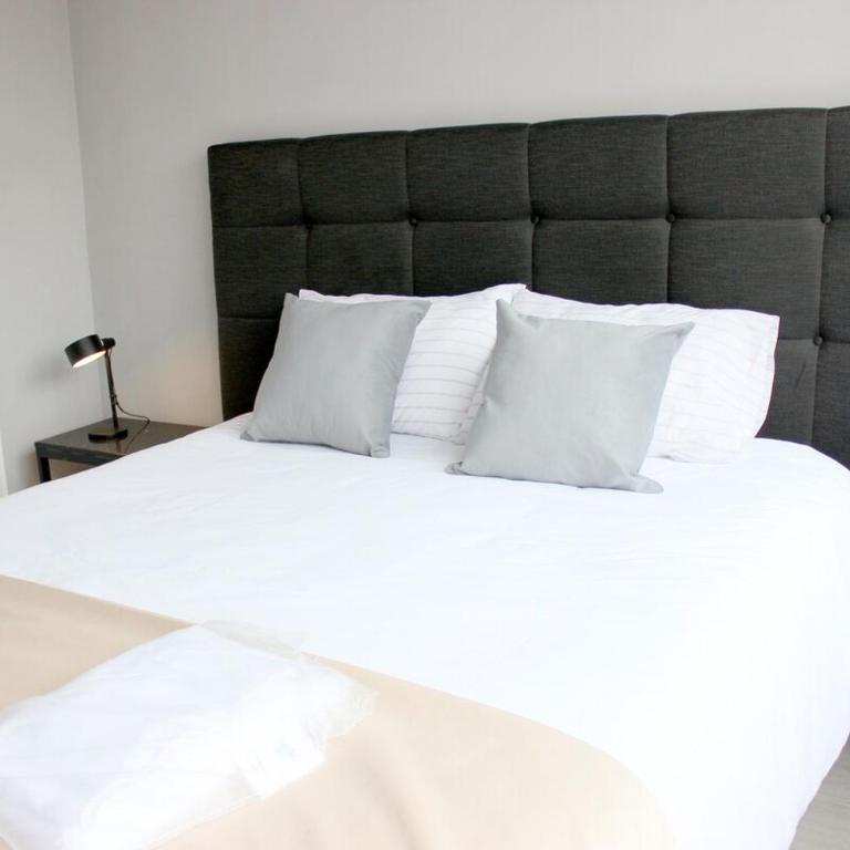 Iconic view of the Huérfanos Bridge, Santiago - Two-Bedroom Apartment - 21