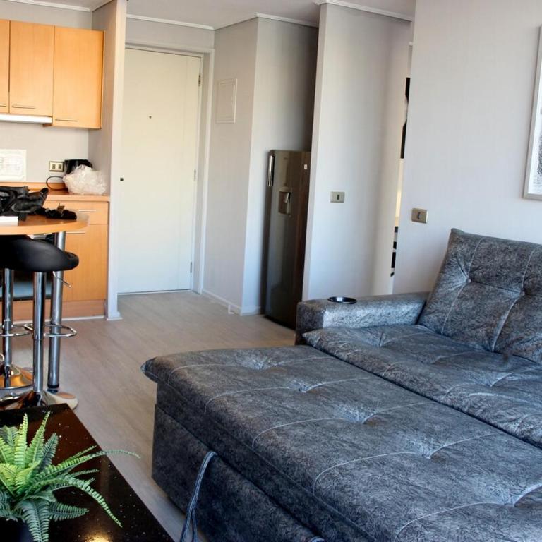 Iconic view of the Huérfanos Bridge, Santiago - Two-Bedroom Apartment - 34
