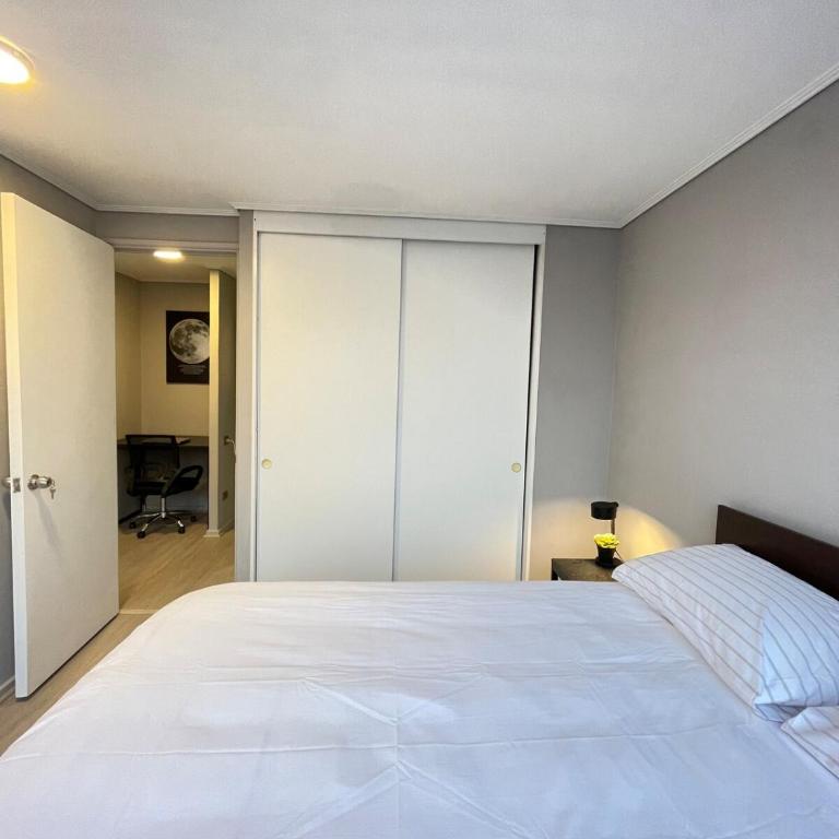 Iconic view of the Huérfanos Bridge, Santiago - Two-Bedroom Apartment - 40