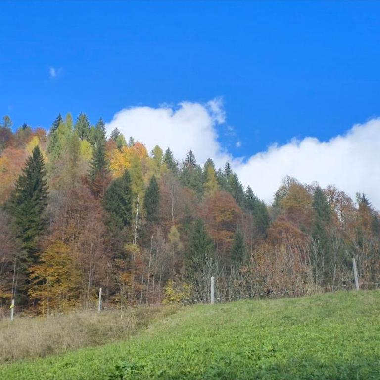 Rifugio di Niki - Appartamento con 1 Camera da Letto - 23