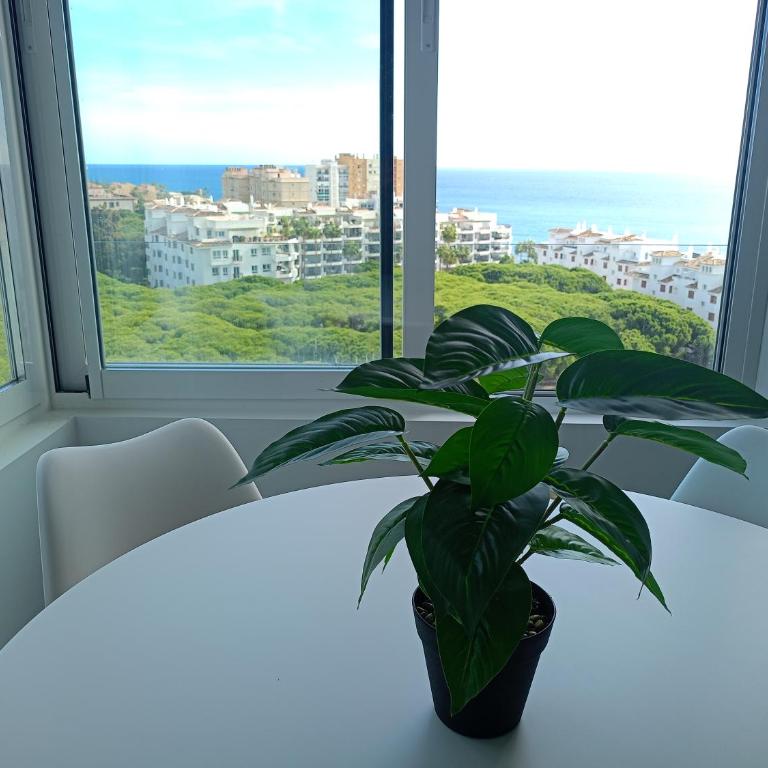 Estudio vista al mar en urbanización con salida a la playa - Apartamento de 1 dormitorio - 9