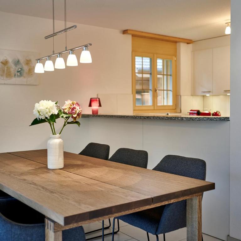 Great Location, Spacious, nice views, modern - Appartement avec Vue sur la Montagne - 19