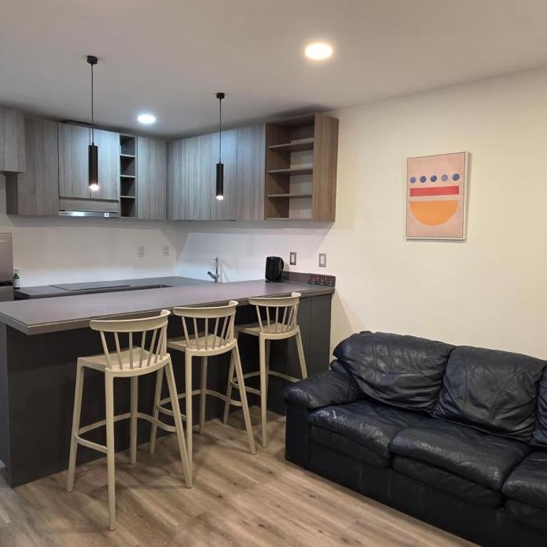 D-03 Apartments for rent Punta Arenas, región de Magallanes, Chile - One-Bedroom Apartment - 6