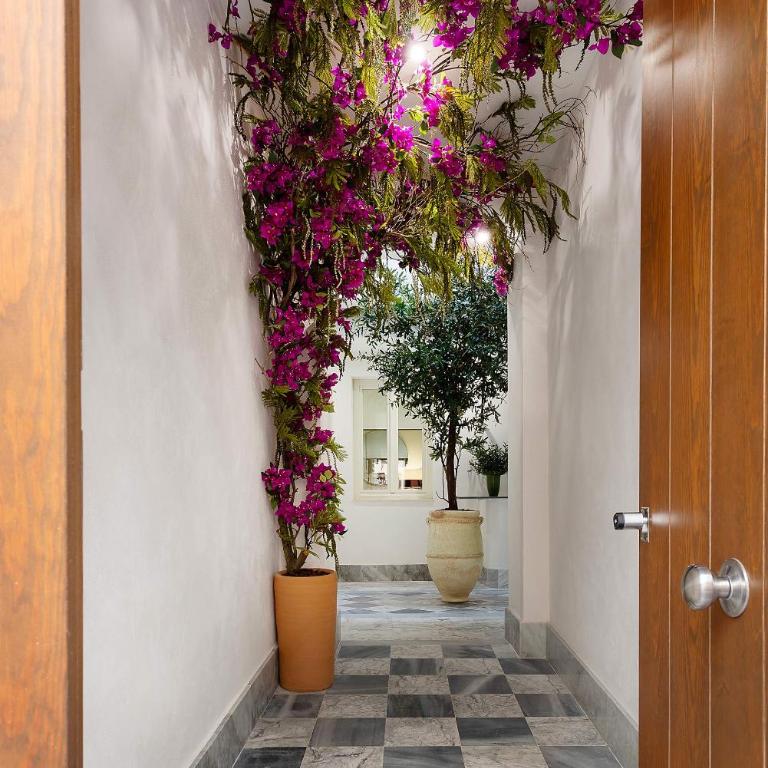 Genteel Home Patrocinio Cádiz - Apartamento de 2 dormitorios - 3