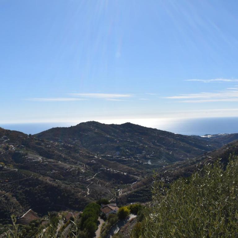 Finca Lagarillo with private Pool - Chalet de 2 dormitorios - 29