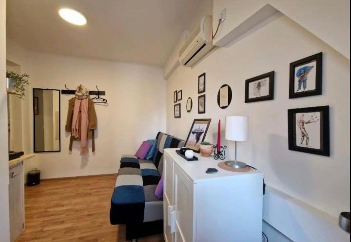 Srce Beograda - Apartman sa 1 Spavaćom Sobom - 1