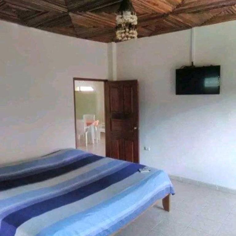 Emerald forest - Vacation Home - 4