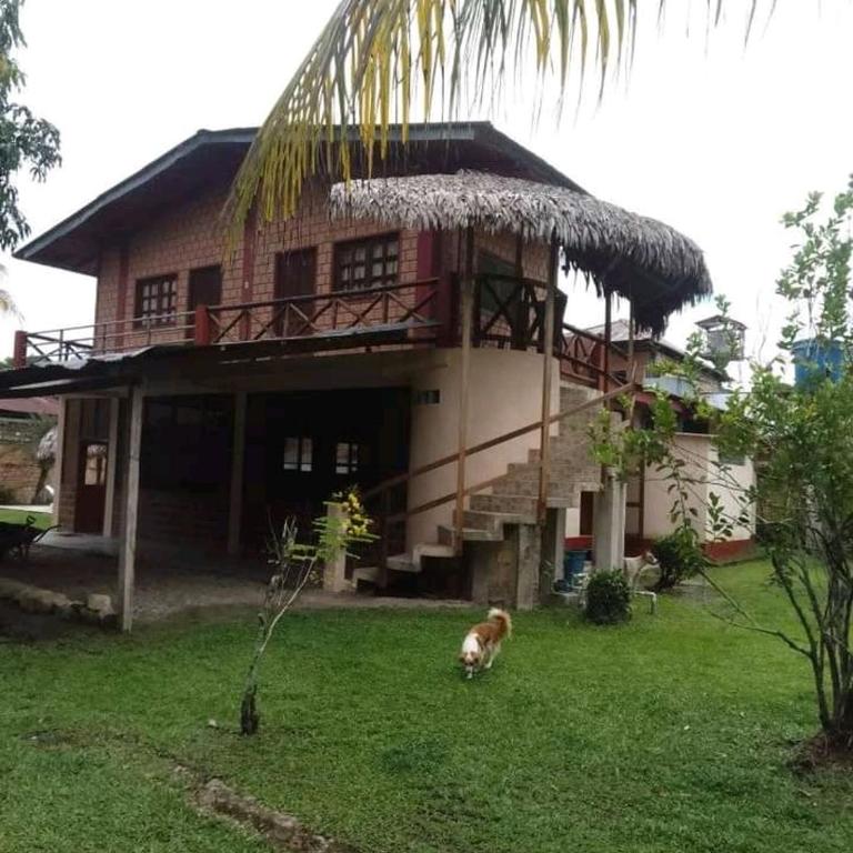 Emerald forest - Vacation Home - 11
