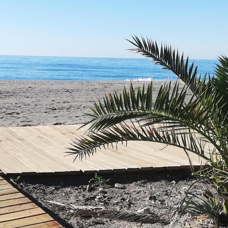 Marinsa Colibri Apartment - Apartamento de 2 dormitorios con terraza - 8