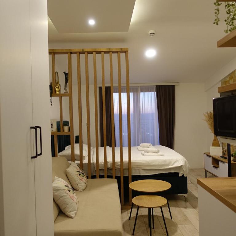 Peak Montana Kopaonik - Studio with Balcony - 8