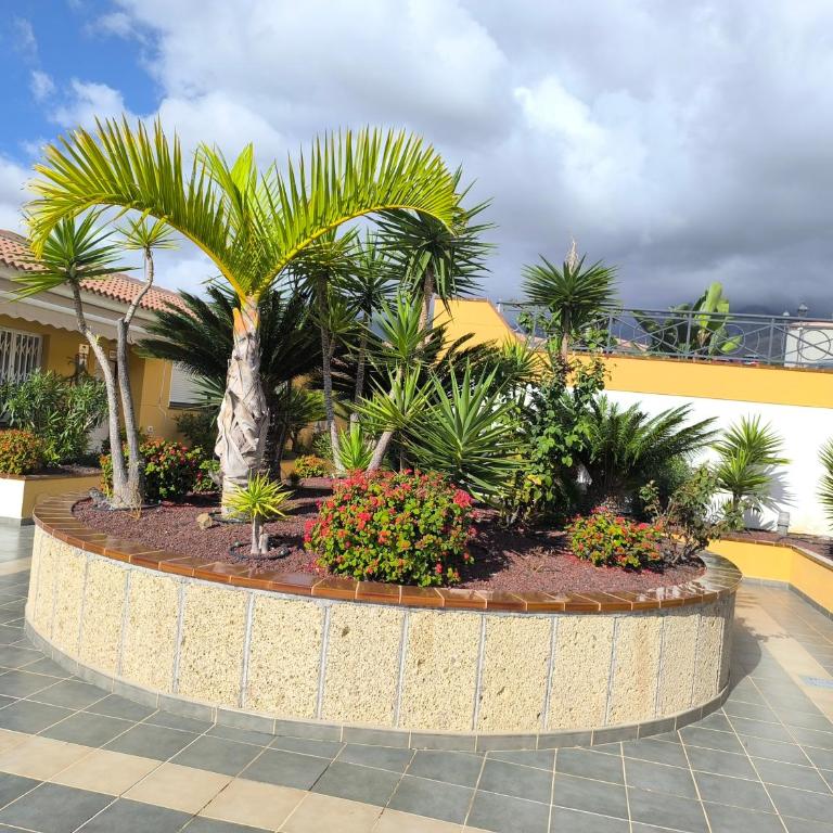 Residencial Sunset 2 bedrooms en Calle Galicia 43 - Apartamento de 1 dormitorio - 12