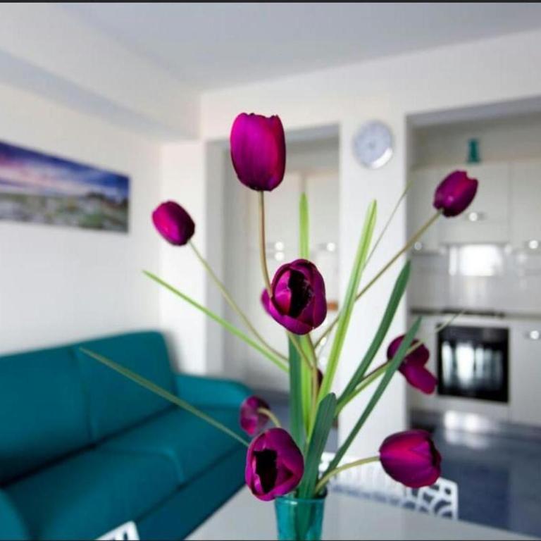 Villa Cielo d'Alcamo Marina - Apartment mit 2 Schlafzimmern und Meerblick - 18