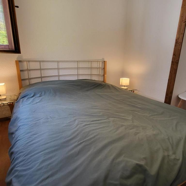 Appartements 3 vallées, piscine et sauna - Appartement avec Balcon - 2