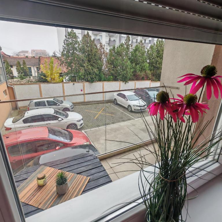 Apartman_Krstić_1 - One-Bedroom Apartment - 31