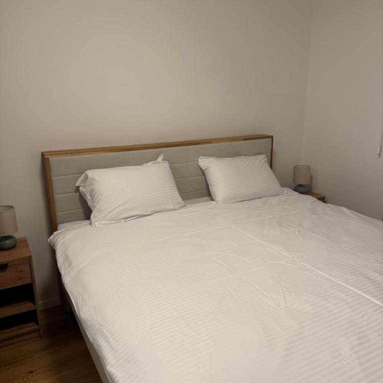 White Peaks - Apartman sa 1 Spavaćom Sobom - 45