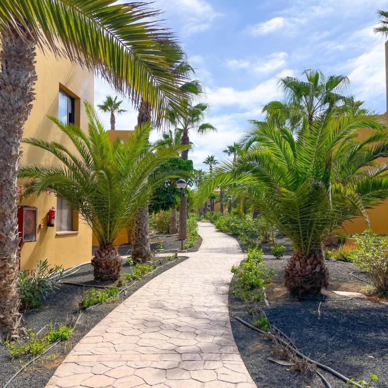 Oasis Papagayo 2 rooms Emma's Suite - by B-Rent - Apartamento de 2 dormitorios - 31