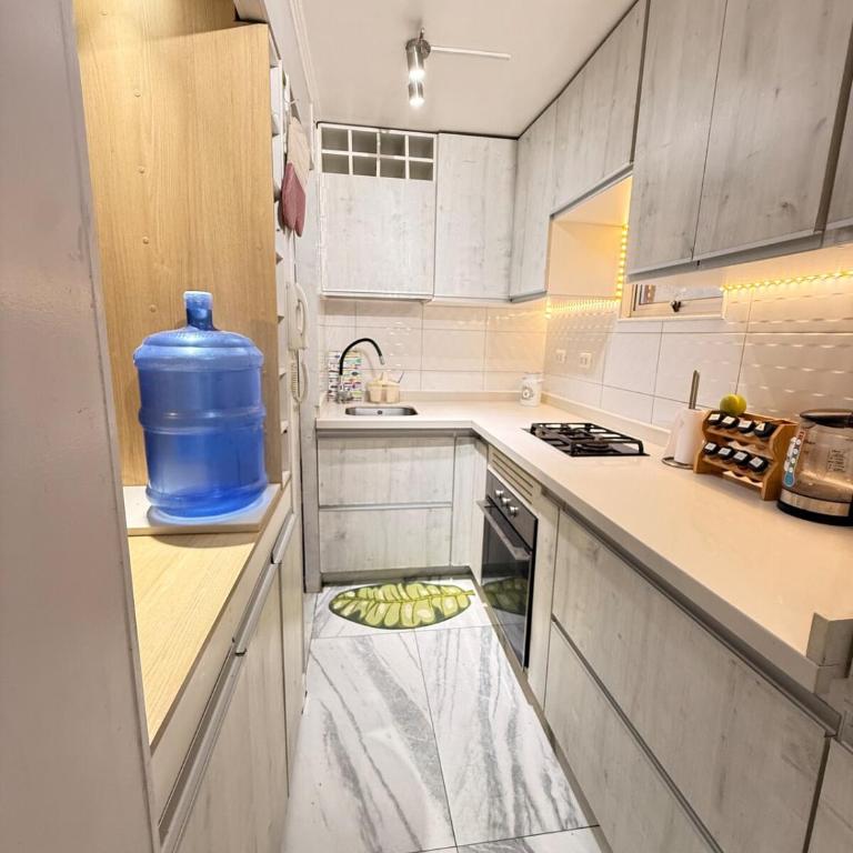 Departamento Boutique, Familiar 5 personas - Three-Bedroom Apartment - 29