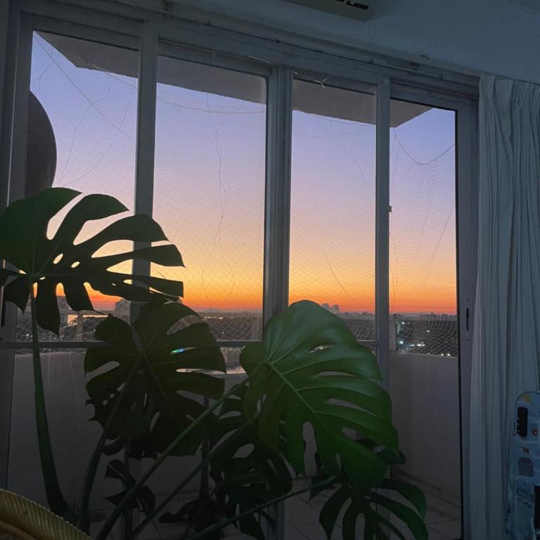 Apartamento en Punta del Este - One-Bedroom Apartment with Sea View - 24