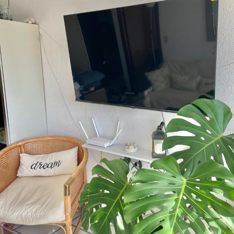 Apartamento en Punta del Este - One-Bedroom Apartment with Sea View - 26