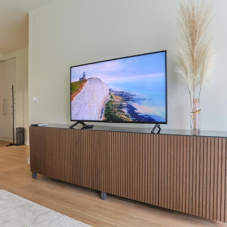The Sensation Belgrade Waterfront - Two-Bedroom Apartment with Terrace - 28