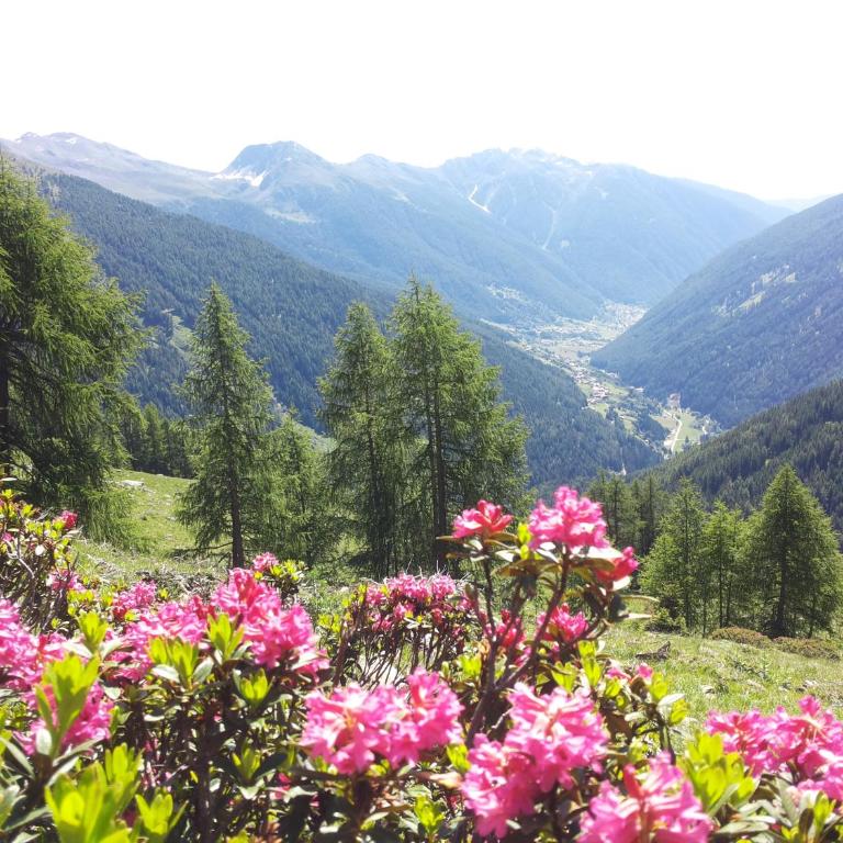 Cevedale-Valdisole - Apartamento de 2 dormitorios con balcón - 35