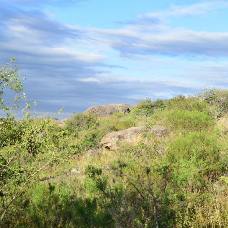 Casa en Cabalango - Casa con 1 dormitorio - 2