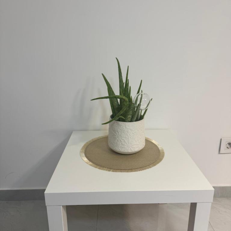 Alexandar13 - Apartman sa 1 Spavaćom Sobom - 6