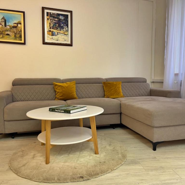 Metropoint Apartment Sarajevo - Apartman sa 1 Spavaćom Sobom - 10