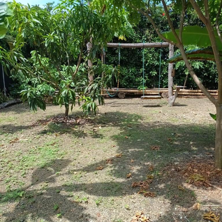 House near the beach in Ayampe - Casa de 3 dormitorios - 30