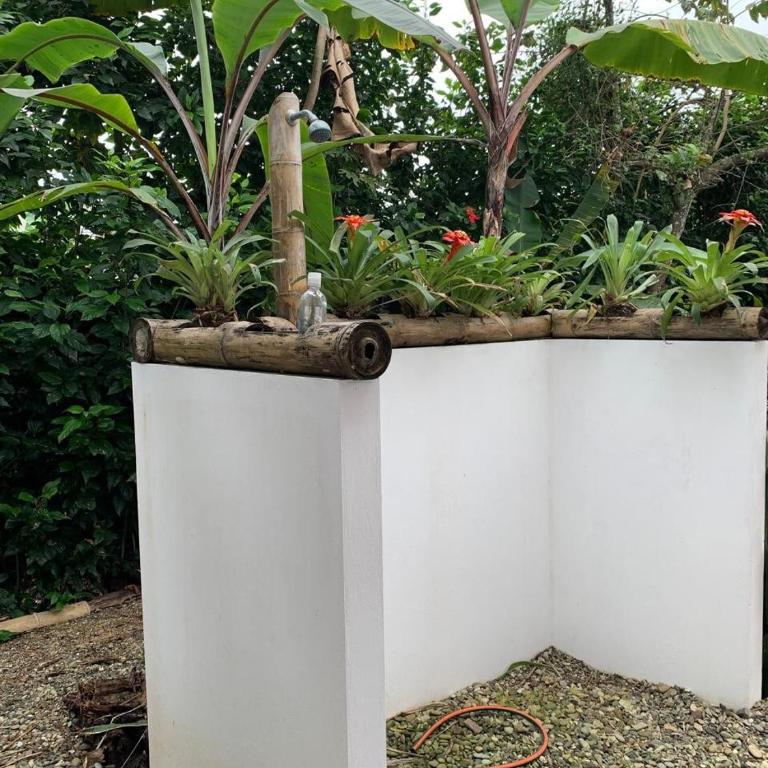 House near the beach in Ayampe - Casa de 3 dormitorios - 31