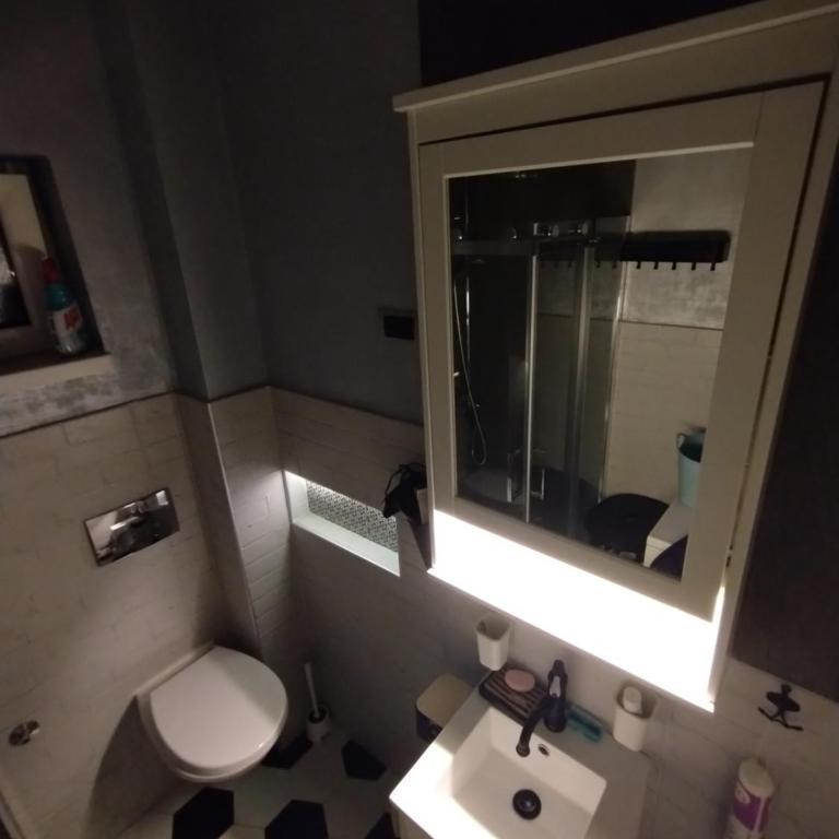 Vuk i Vojvoda - Apartman sa 2 Spavaće Sobe - 27