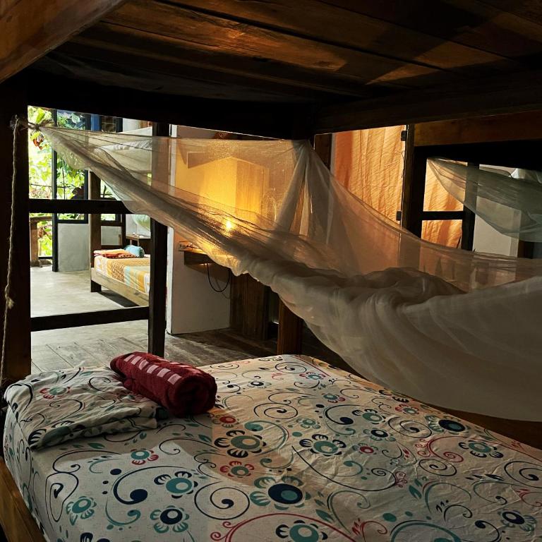 Utria hostel - Cama en habitación compartida mixta de 6 camas - 4