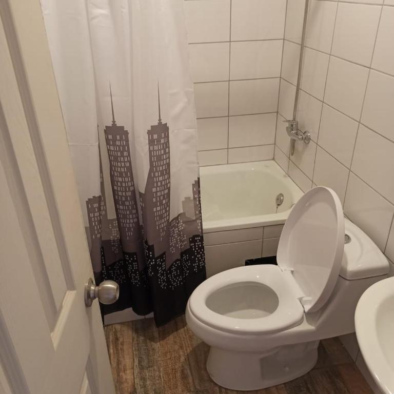 Apart hotel Sur de Chile - Apartamento con balcón - 2