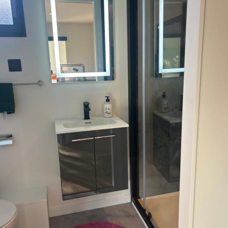Studio de Charme entre pins,golf et ocean - Maison 1 Chambre - 5