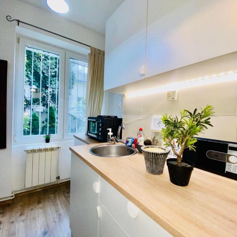 Center Belgrade - One-Bedroom Apartment - 5