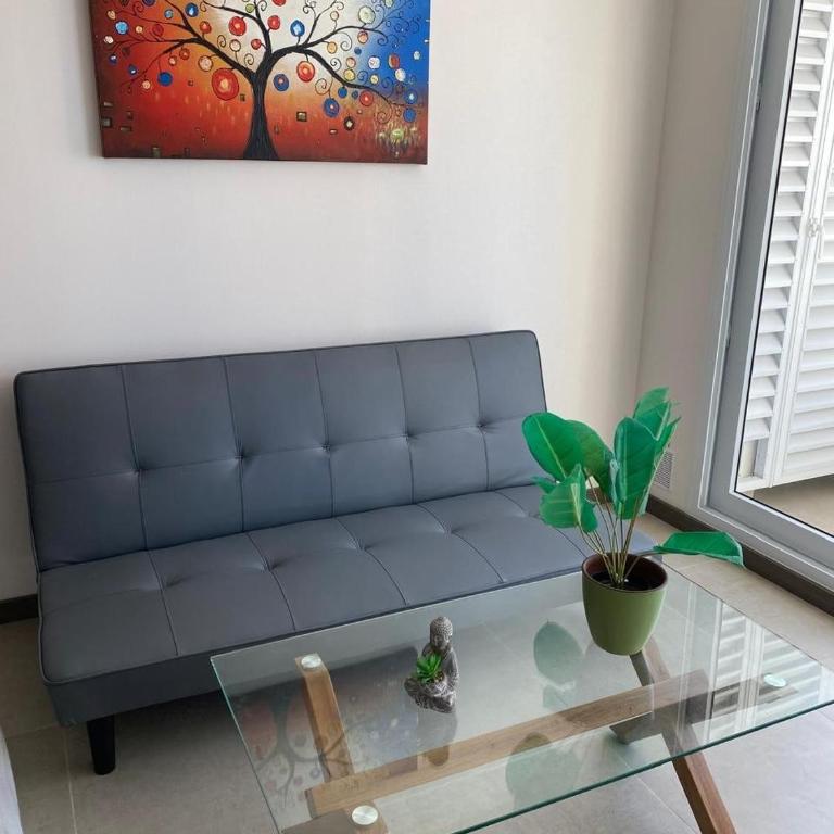 Departamento amoblado frente a la playa - Apartamento de 1 dormitorio - 8