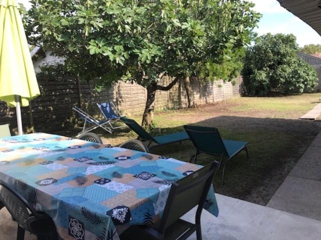 Maison Arcachon avec jardin - One-Bedroom House - 12
