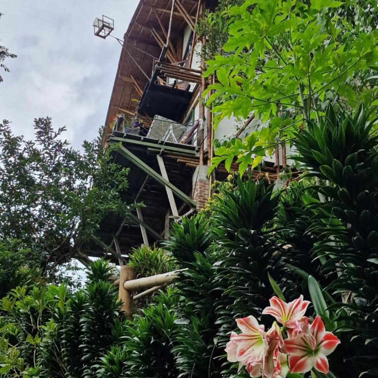 Limon - Habitación Doble con terraza - 65