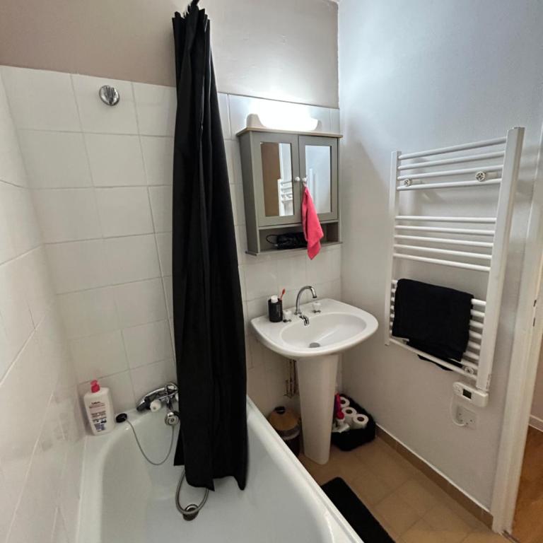 Saint Lary - Perché au pied des pistes - One-Bedroom Apartment - 9