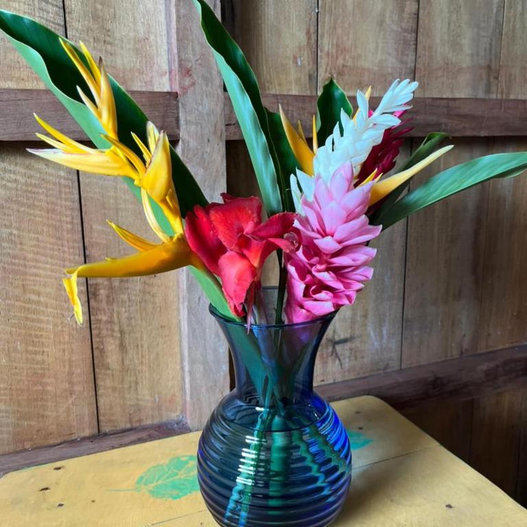 Cabañas Arrecifes - Habitación Doble con vistas al mar - 1